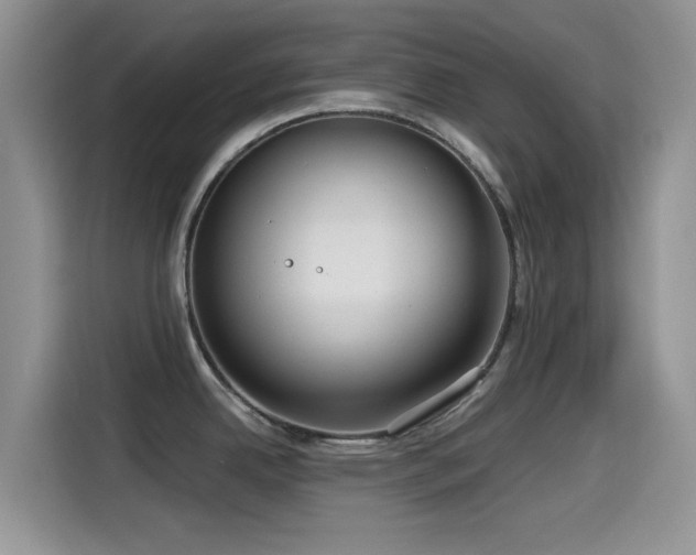 X0000115551342200911061525
