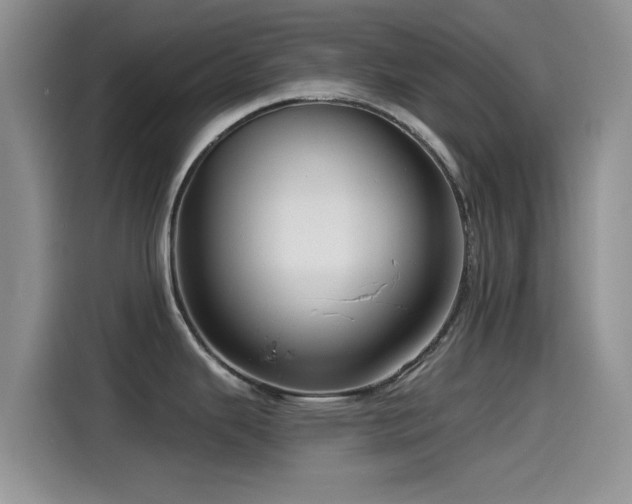 X0000115551343200911061525