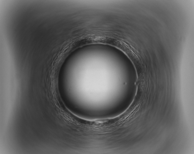 X0000115551345200911061525