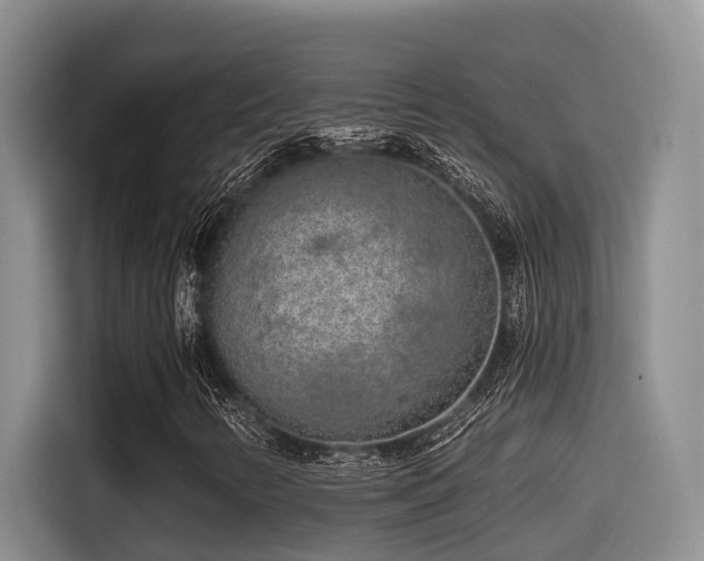 X0000115551346200911061525