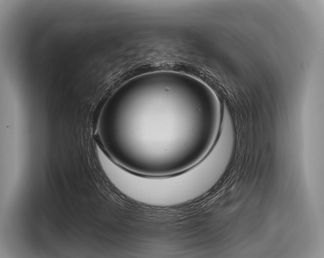 X0000115551348200911061525