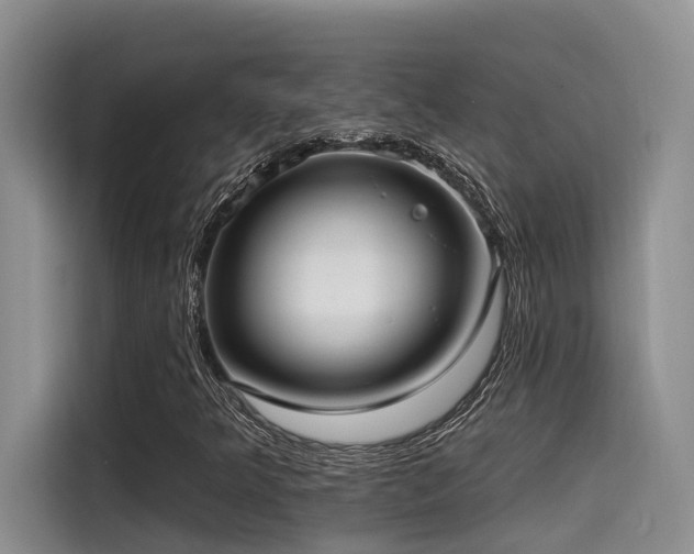 X0000115551349200911061525