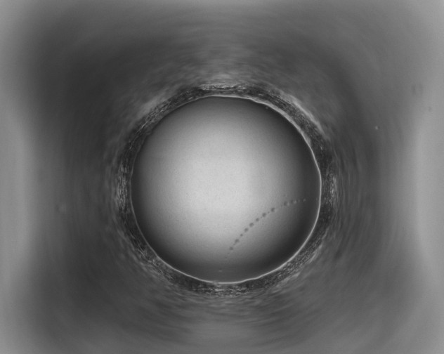 X0000115551350200911061525
