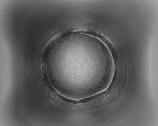 X0000115551351200911061524