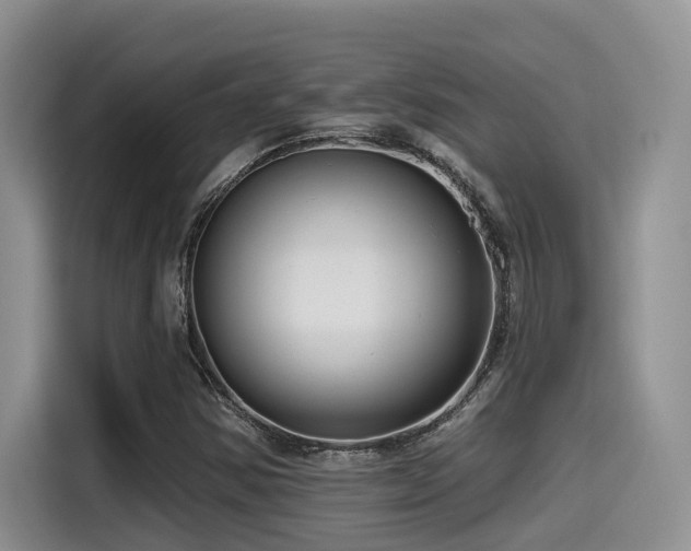 X0000115551354200911061524