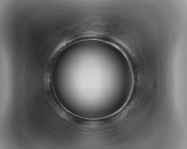X0000115551355200911061524