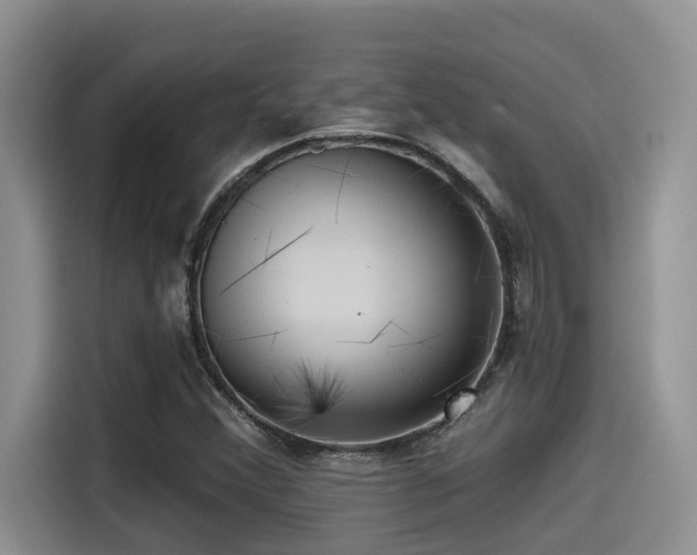 X0000115551356200911061524