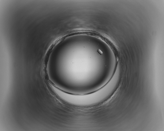 X0000115551357200911061524