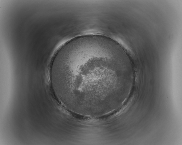 X0000115551358200911061524