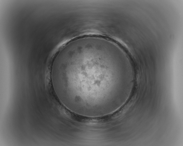 X0000115551359200911061524
