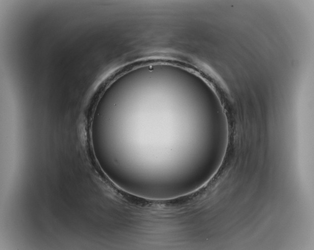 X0000115551360200911061524