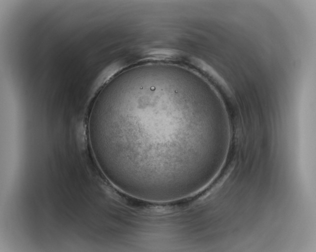 X0000115551362200911061524