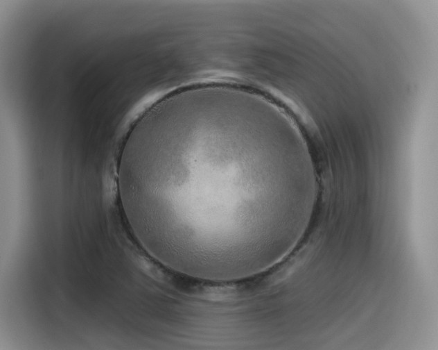 X0000115551363200911061524