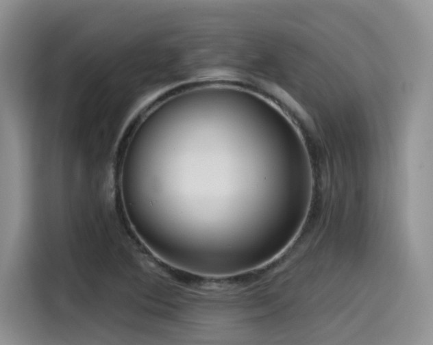 X0000115551364200911061524