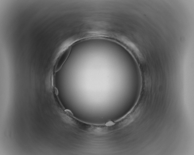 X0000115551365200911061524