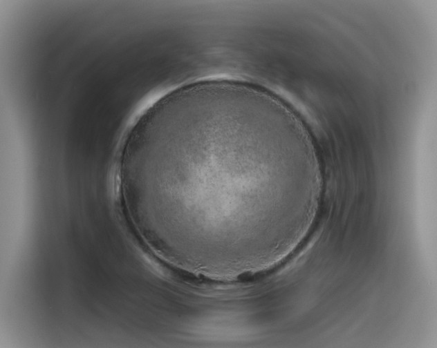 X0000115551367200911061524