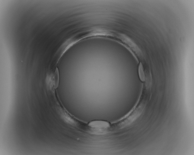 X0000115551369200911061524