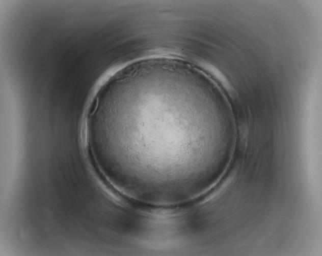 X0000115551371200911061524