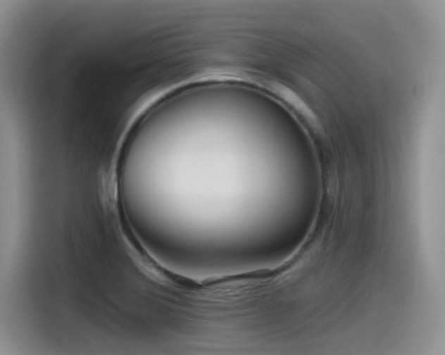 X0000115551372200911061524