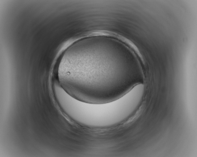 X0000115551373200911061524