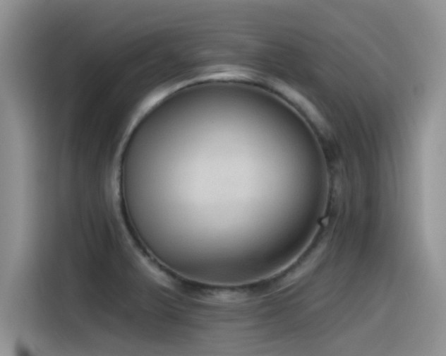 X0000115551375200911061524