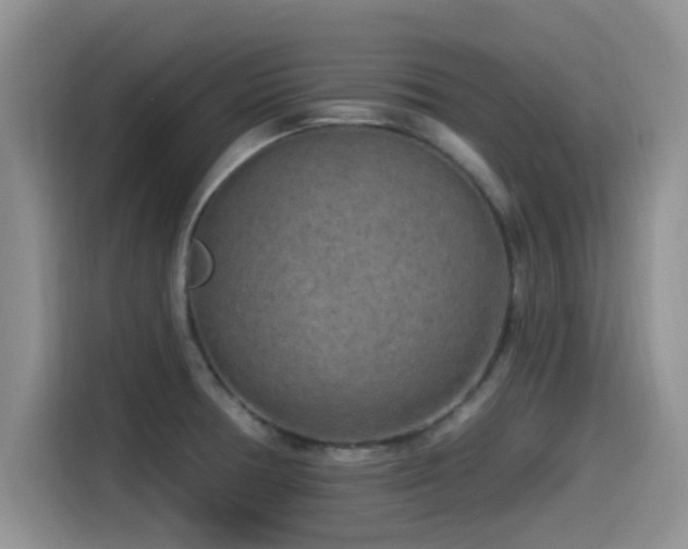 X0000115551378200911061524