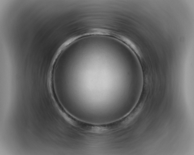 X0000115551379200911061524