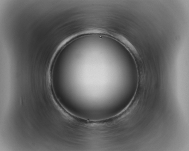 X0000115551380200911061524