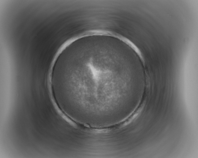 X0000115551381200911061524