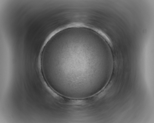 X0000115551382200911061524