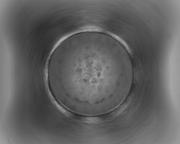 X0000115551383200911061524