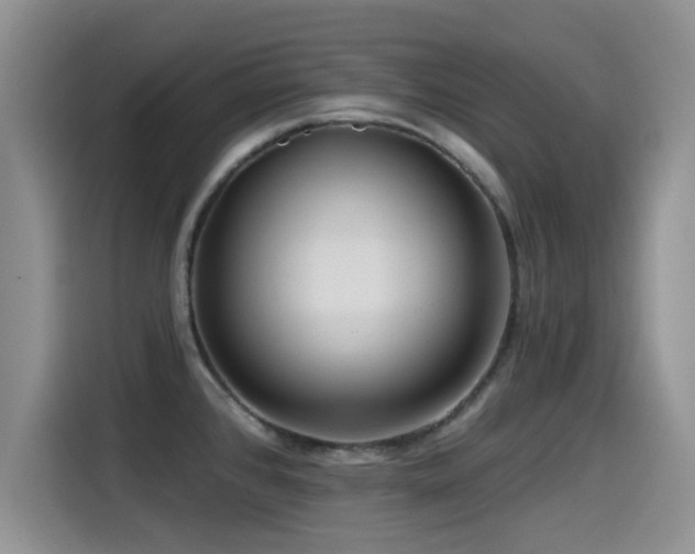 X0000115551384200911061524