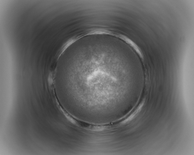 X0000115551385200911061524