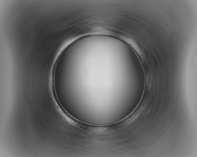 X0000115551387200911061524