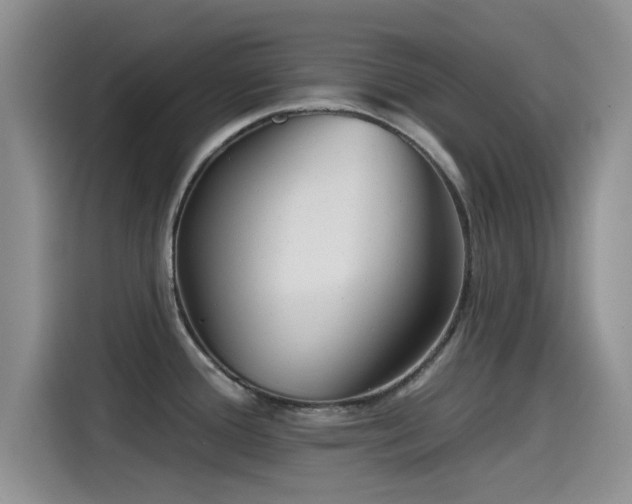 X0000115551388200911061524
