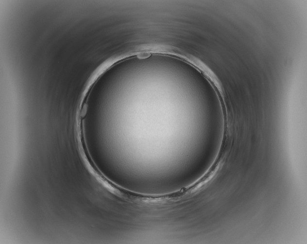 X0000115551389200911061524