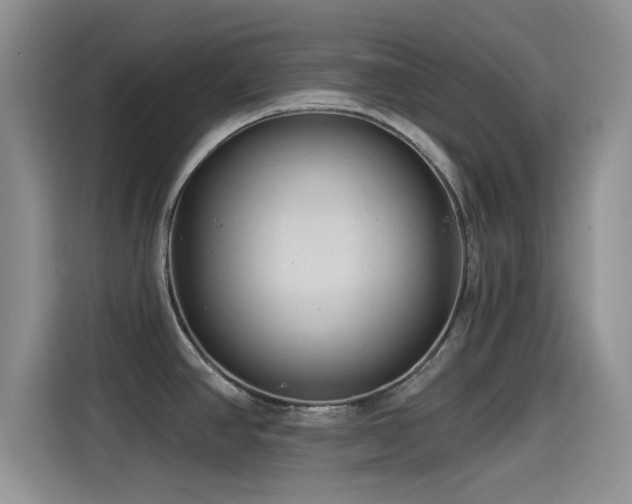 X0000115551390200911061524