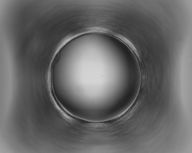 X0000115551391200911061524