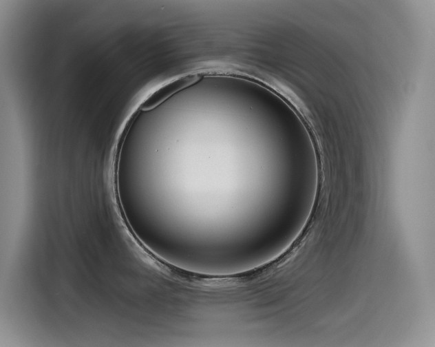 X0000115551392200911061524