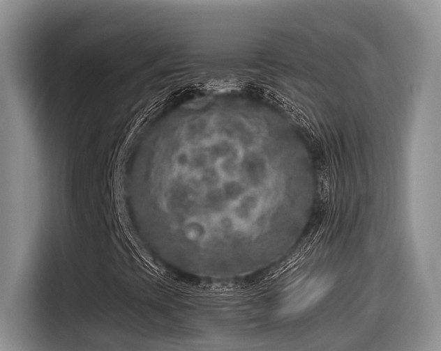 X0000115551393200911061523