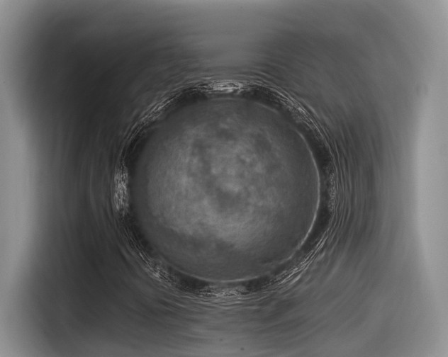 X0000115551394200911061523