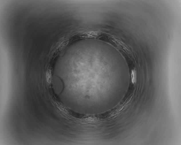 X0000115551395200911061523