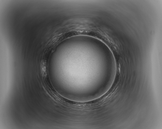 X0000115551396200911061523