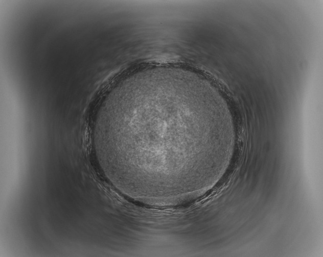 X0000115551398200911061523