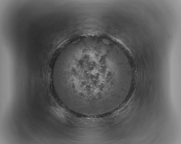 X0000115551399200911061523