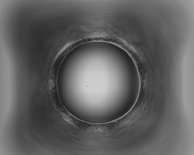 X0000115551400200911061523