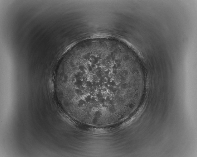 X0000115551401200911061523