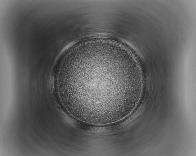 X0000115551402200911061523
