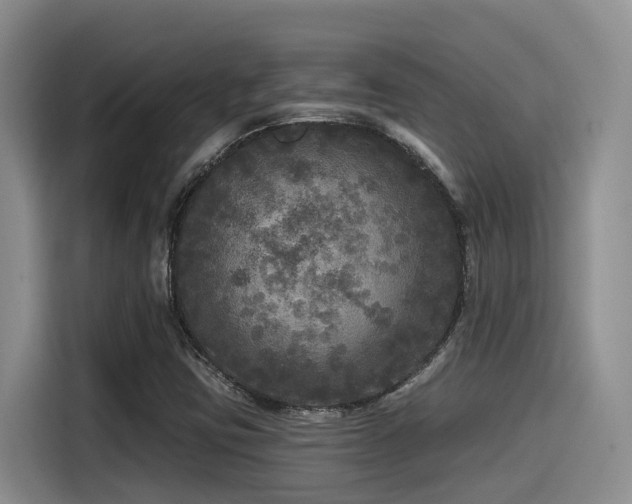 X0000115551403200911061523