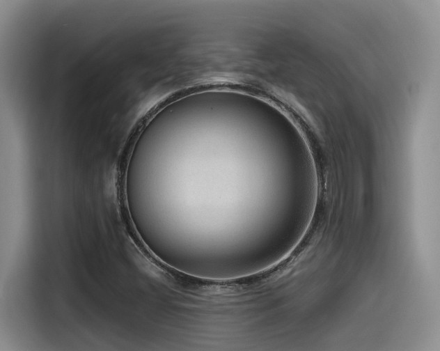 X0000115551404200911061523